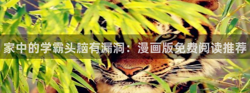 你是一只小白狐韩漫画在线观看：家中的学霸头脑有漏洞：漫画版免费阅读推荐