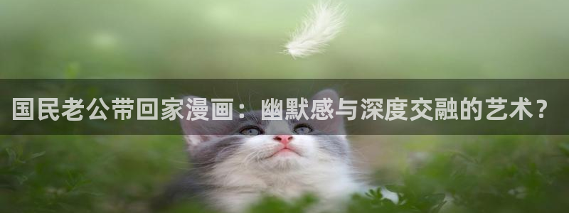 精品韩漫网站：国民老公带回家漫画：幽默感与深度交融的艺术？