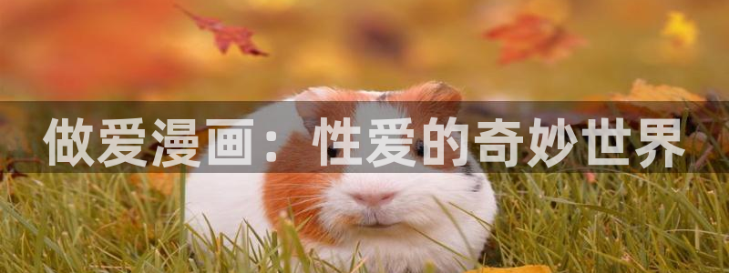 韩漫歪歪在线免费观看：做爱漫画：性爱的奇妙世界