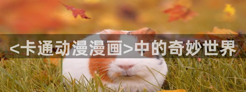韩漫日漫台漫：<卡通动漫漫画>中的奇妙世界