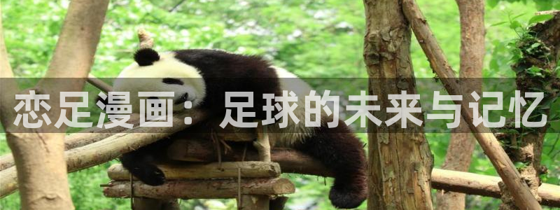 韩漫美丽新世界漫画下载：恋足漫画：足球的未来与记忆