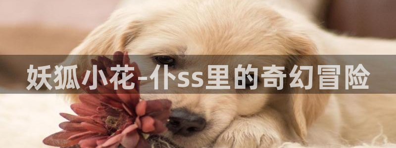 韩漫网址在线免费：妖狐小花-仆ss里的奇幻冒险
