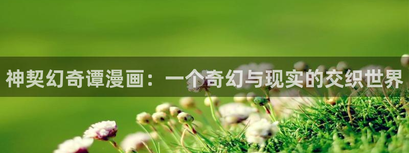 歪歪韩漫首页进入：神契幻奇谭漫画：一个奇幻与现实的交织世界