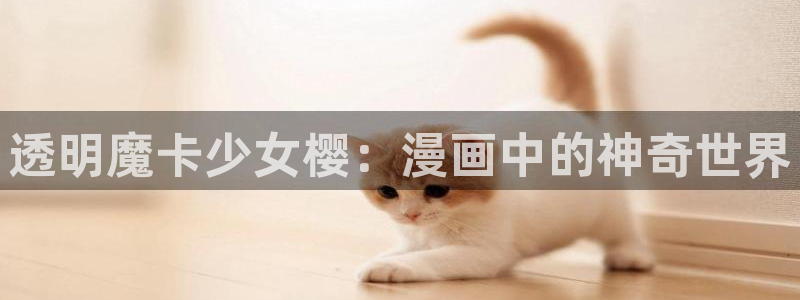 韩漫双男主漫画书：透明魔卡少女樱：漫画中的神奇世界