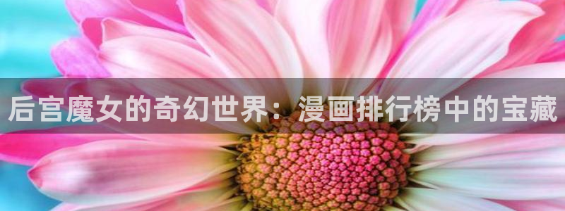 韩漫在线观看歪歪：后宫魔女的奇幻世界：漫画排行榜中的宝藏
