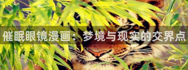 韩漫在线免费观看阅读：催眠眼镜漫画：梦境与现实的交界点