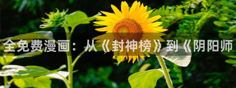 韩漫在线观看经典韩漫：全免费漫画：从《封神榜》到《阴阳师
