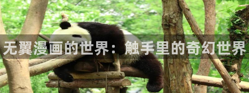 韩漫画在线阅读入口免费：无翼漫画的世界：触手里的奇幻世界